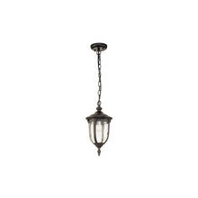 Cleveland 1-Light Small Chain Lantern in Weathered Bronze