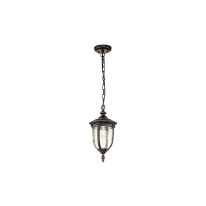 Cleveland 1-Light Small Chain Lantern in Weathered Bronze