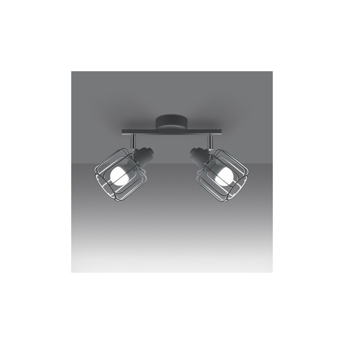 Belucia 2 Ceiling Light