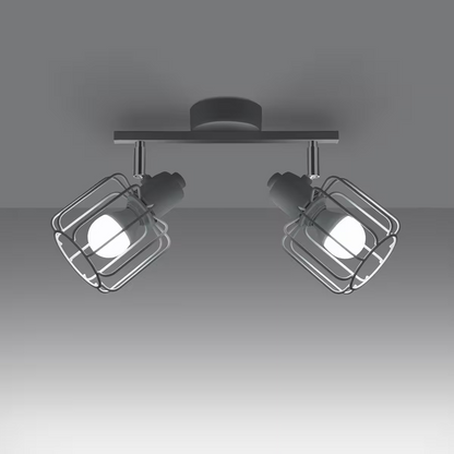 Belucia 2 Ceiling Light