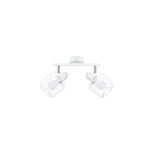 Belucia 2 Ceiling Light