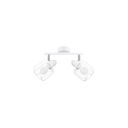 Belucia 2 Ceiling Light