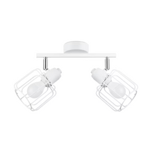 Belucia 2 Ceiling Light