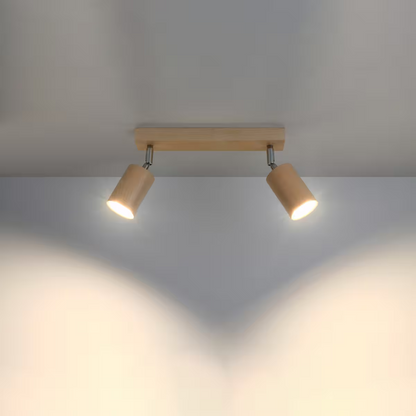 Berg 2 Ceiling Light