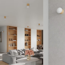 Boomo 12 Ceiling Light
