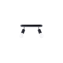 Fornes 2 Ceiling Light in Black