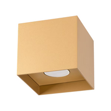 Hati Ceiling Light