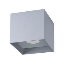 Hati Ceiling Light