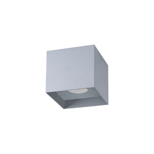 Hati Ceiling Light