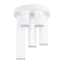 Lagos 5P Ceiling Light