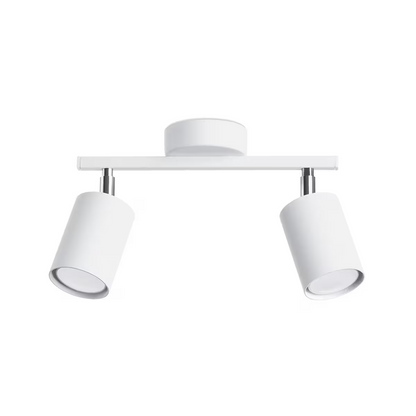 Lemmi 2 Ceiling Light