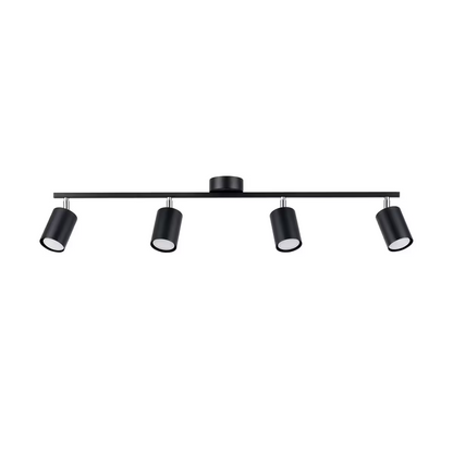 Lemmi 4L Ceiling Light
