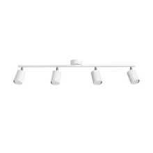 Lemmi 4L Ceiling Light