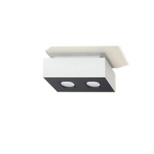Mono 2 Ceiling Light