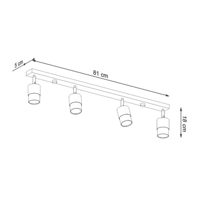 Sollux Nero Four-Light Ceiling Spotlight
