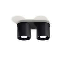 Orbis 2 Ceiling Light