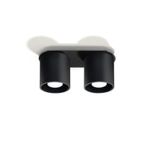 Orbis 2 Ceiling Light