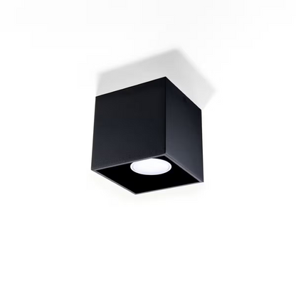 Quad Ceiling Light