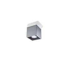 Quad Ceiling Light
