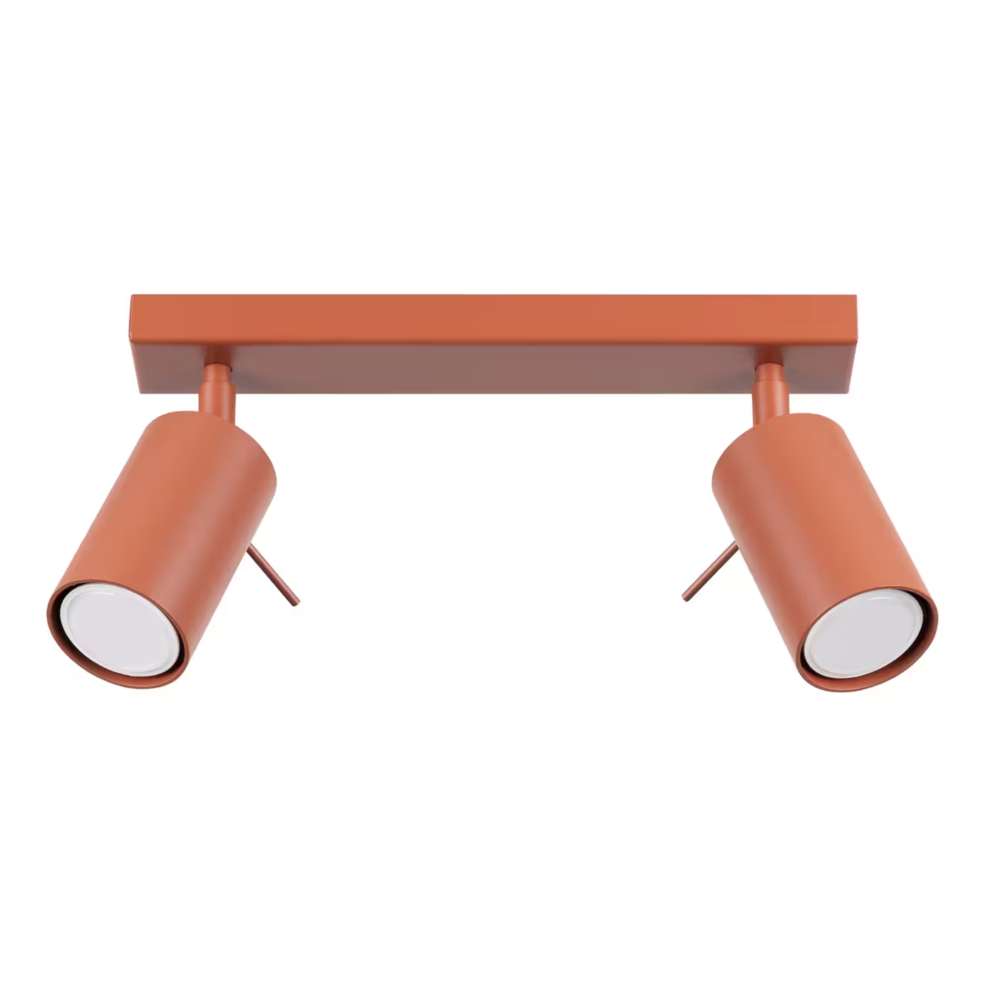 Ring 2 Ceiling Light