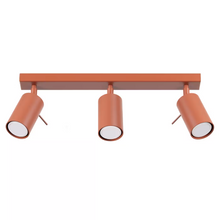 Ring 3L Ceiling Light