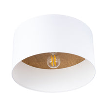 Sollux Telesto Ceiling Light
