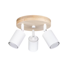 Verdo 3P Ceiling Light