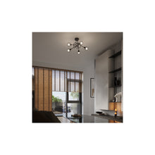 Beluci 5S Chandelier in Black