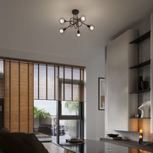 Beluci 5S Chandelier in Black