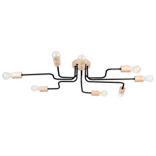 Timbo 8 Chandelier