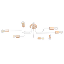 Timbo 8 Chandelier