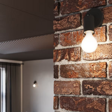 Fornes 1 Wall Light in Black