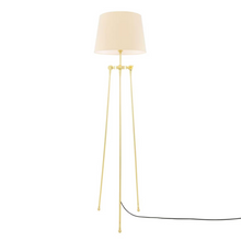 Lismore Modern Floor Lamp