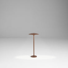 Ginger B 32 Outdoor Bollard