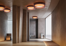Ringo Ceiling Light