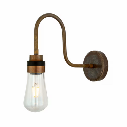 Bo Swan Neck Wall Light IP65