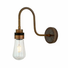 Bo Swan Neck Wall Light