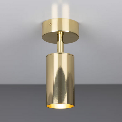Evanston Directional Brass Ceiling Spot Light