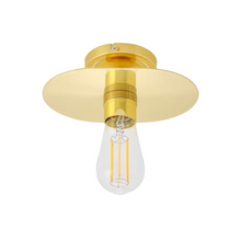 Kigoma Vintage Flush Ceiling Light