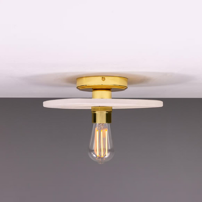 Bog Oak Organic Ceramic Disc Ceiling Light