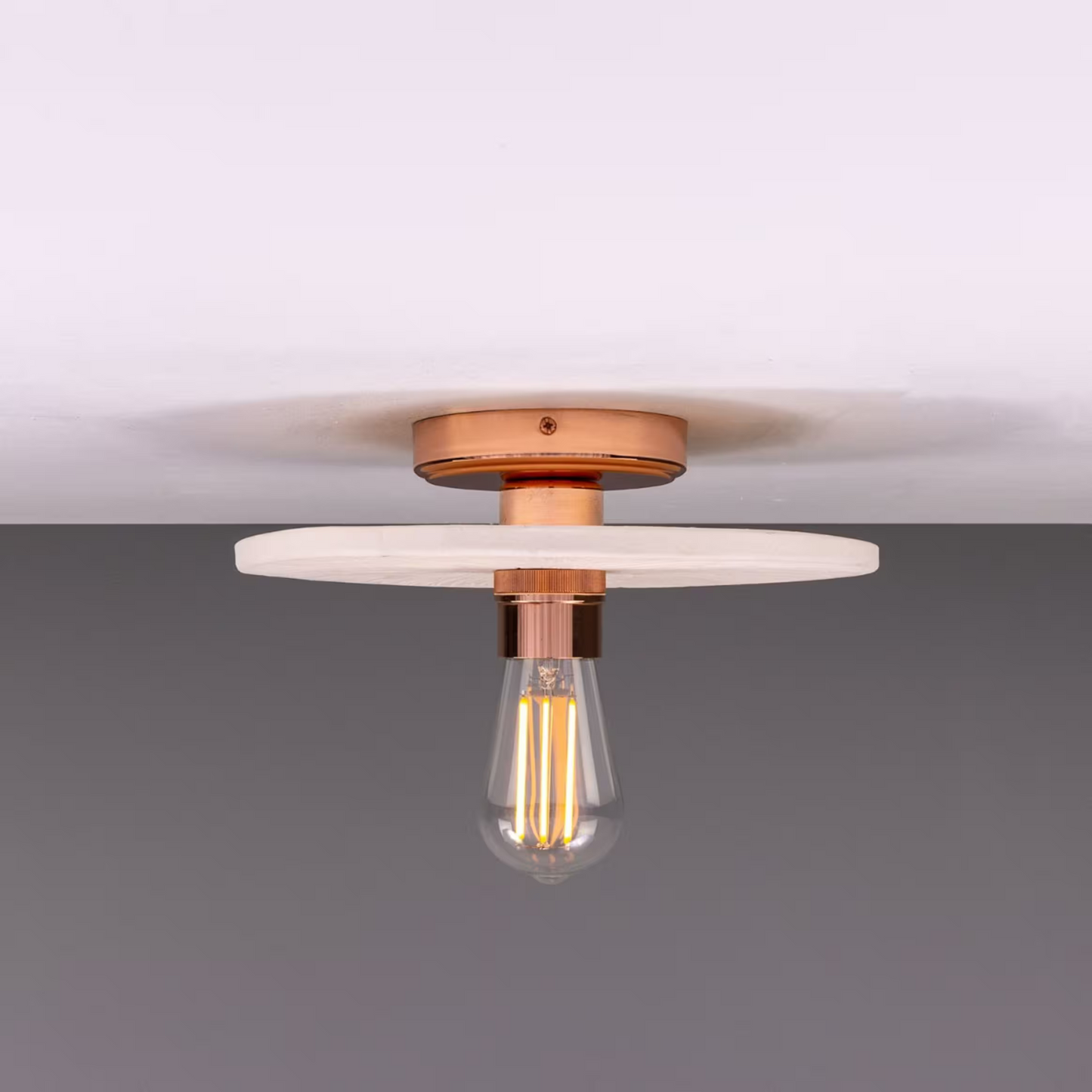 Bog Oak Organic Ceramic Disc Ceiling Light