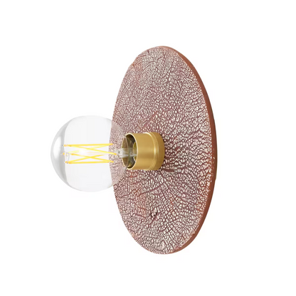 Bog Oak Organic Ceramic Disc Wall Light