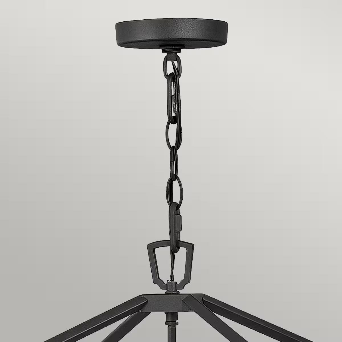 Alford Place 4-Light Outdoor Pendant in Museum Black