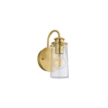 Braelyn 1-Light Wall Light