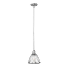 Elroy 1 Light Pendant